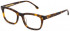 Lozza VL4275 glasses in Havana Brown