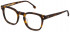 Lozza VL4274 glasses in Havana Brown