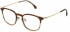 Lozza VL4272 glasses in Shiny Striped Ochre/Brown