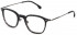 Lozza VL4267 glasses in Shiny Black Gradient Grey Havana