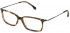 Lozza VL4266 glasses in Shiny Medium Havana
