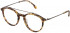 Lozza VL4224 glasses in Shiny Light Yellow Havana
