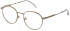 Lozza VL2402 glasses in Matt Antique Gold