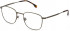 Lozza VL2398 glasses in Matt Antique Grey/Green