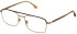 Lozza VL2386 glasses in Shiny Rose Gold