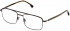 Lozza VL2386 glasses in Total Shiny Gun