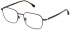 Lozza VL2385 glasses in Total Shiny Gun
