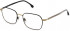 Lozza VL2385 glasses in Rose Gold