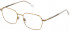 Lozza VL2385 glasses in Shiny Total Rose Gold