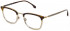Lozza VL2384 glasses in Havana Top/Shiny Grey