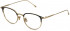 Lozza VL2383 glasses in Matt Rose Gold