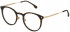 Lozza VL2376 glasses in Shiny Dark Havana