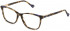 Yalea VYA002V glasses in Shiny Medium Havana