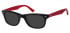 Sunglasses in Black/Burgundy
