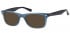 Sunglasses in Dark Blue