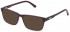 Fila VFI034 sunglasses in Shiny Aubergine