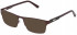 Fila VFI033 sunglasses in Shiny Antique Bordeaux