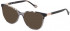 Yalea VYA050V sunglasses in Transparent Grey