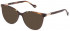 Yalea VYA050V sunglasses in Shiny Transparent Tobacco