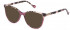 Yalea VYA050V sunglasses in Bordeaux