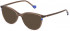 Yalea VYA047V sunglasses in Shiny Transparent Brown
