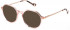 Yalea VYA044V sunglasses in Shiny Transparent Peach