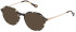 Yalea VYA044 sunglasses in Shiny Havana Honey Tatoo