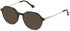 Yalea VYA044 sunglasses in Shiny Black