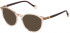 Yalea VYA022 sunglasses in Shiny Transparent Peach