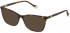 Yalea VYA020 sunglasses in Shiny Dark Havana