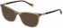 Yalea VYA020 sunglasses in Shiny Transparent Brown