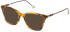 Yalea VYA018V sunglasses in Bordeaux Granite
