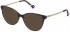 Yalea VYA010 sunglasses in Shiny Striped Blue/Brown