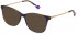 Yalea VYA009 sunglasses in Shiny Striped Blue/Brown