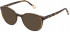 Yalea VYA007V sunglasses in Shiny Brown/Beige Havana