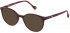 Yalea VYA007 sunglasses in Shiny Full Plum
