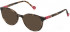 Yalea VYA007 sunglasses in Shiny Medium Havana