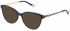 Yalea VYA005 sunglasses in Shiny Dark Blue