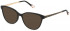 Yalea VYA005 sunglasses in Shiny Black
