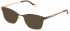 Yalea VYA004 sunglasses in Shiny Rose Gold/Bordeaux