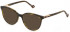 Yalea VYA003L sunglasses in Shiny Havana