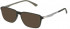 Police VPLF05 sunglasses in Semi Matt Dark Green