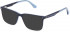 Police VPLF01 sunglasses in Blue Top/Transparent Azure