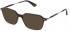 Police VPLE98 sunglasses in Shiny Dark Havana