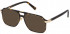Police VPLE21 sunglasses in Shiny Dark Havana