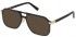 Police VPLE21 sunglasses in Shiny Black