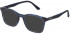 Police VPLD99 sunglasses in Shiny Striped Blue