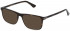 Police VPLD97 sunglasses in Shiny Dark Havana