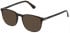 Police VPLD96 sunglasses in Shiny Dark Havana