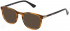 Police VPLD96 sunglasses in Shiny Striped Brown/Mustard